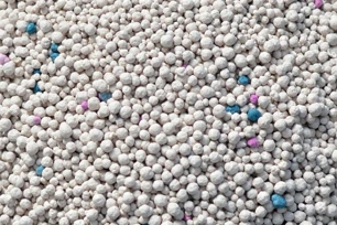 Bentonite Cat Litter